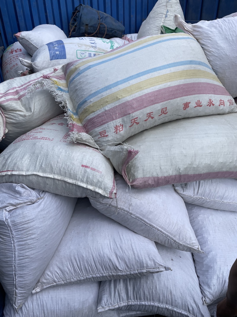 精品水洗猫爪草品质保证量大从优需要提前预定