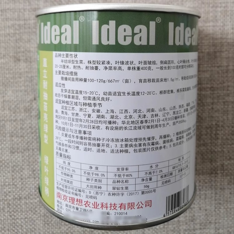 理想翠钻生菜种子半结球生菜直立耐热耐抽苔绿叶绿柄