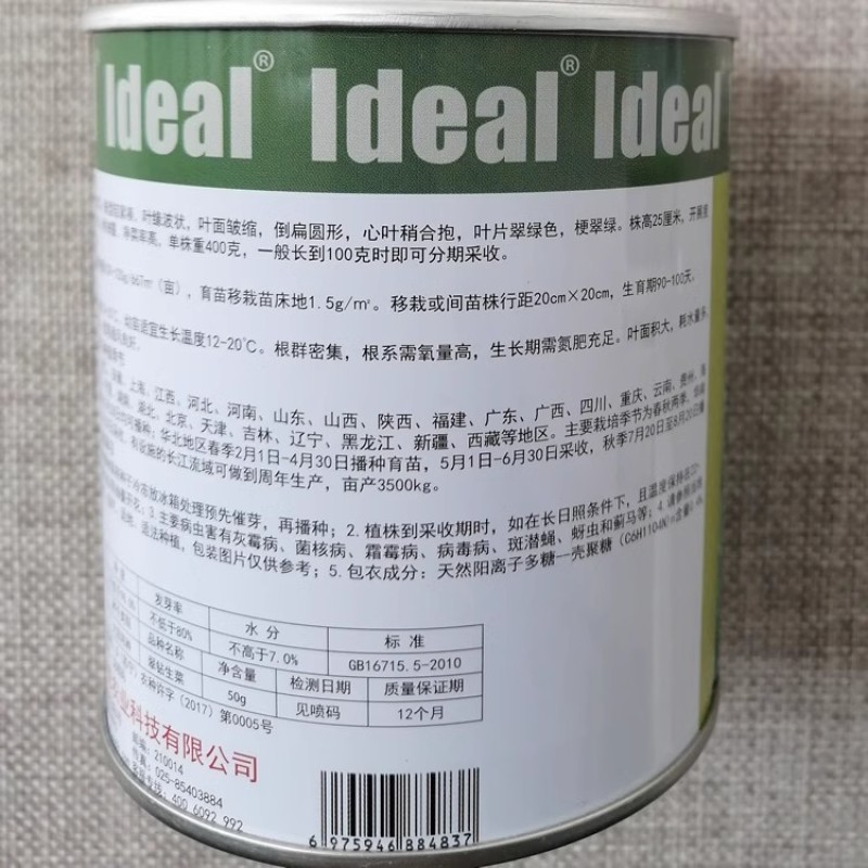 理想翠钻生菜种子半结球生菜直立耐热耐抽苔绿叶绿柄