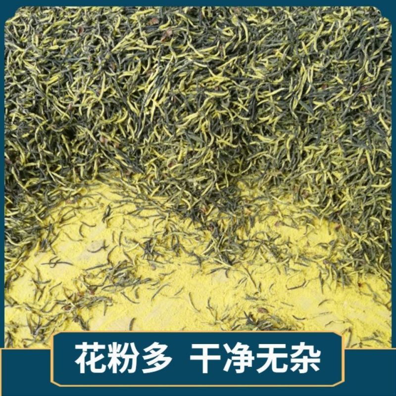 杜仲雄花杜仲雄花茶杜仲雄花一件代发