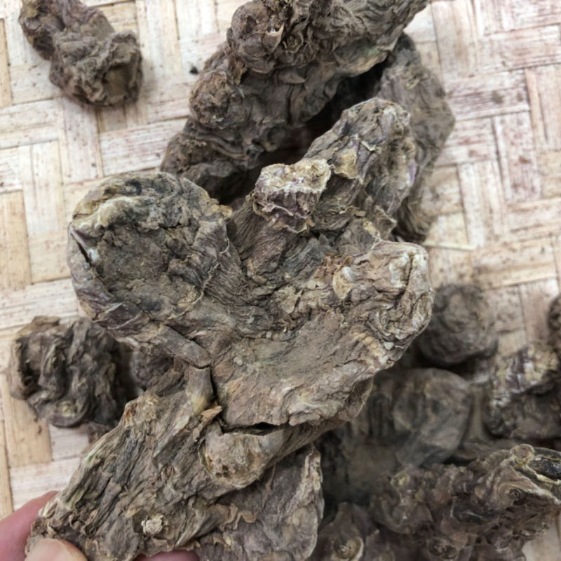 胰岛果胰岛果菊芋整个批发量大从优