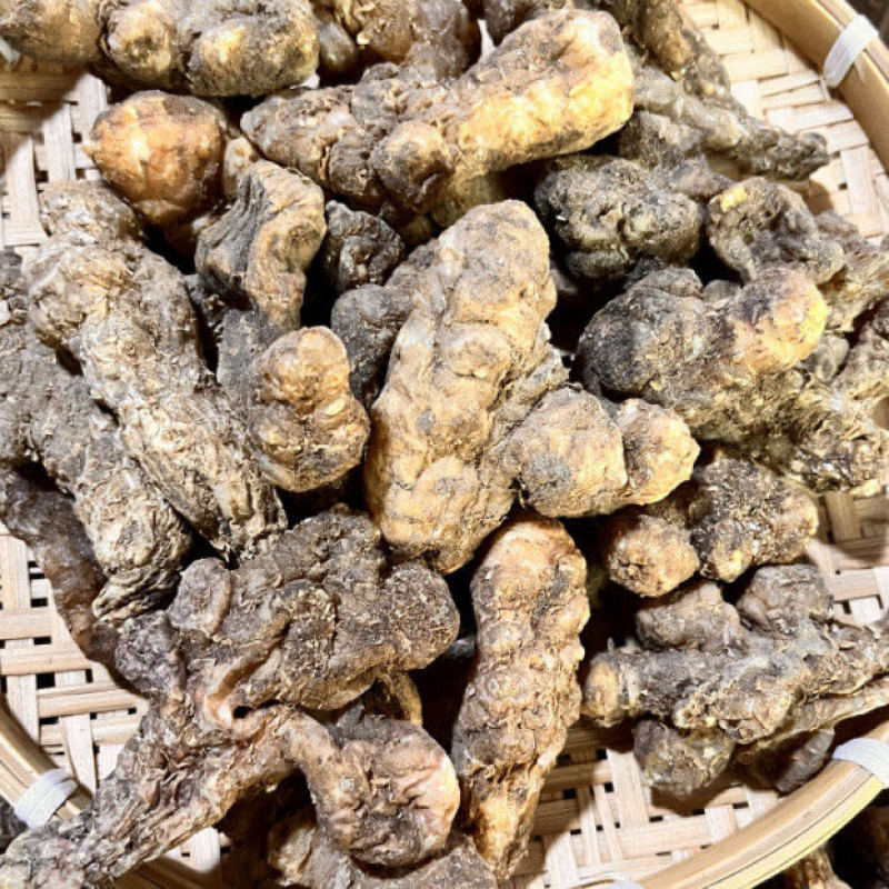 胰岛果胰岛果菊芋整个批发量大从优