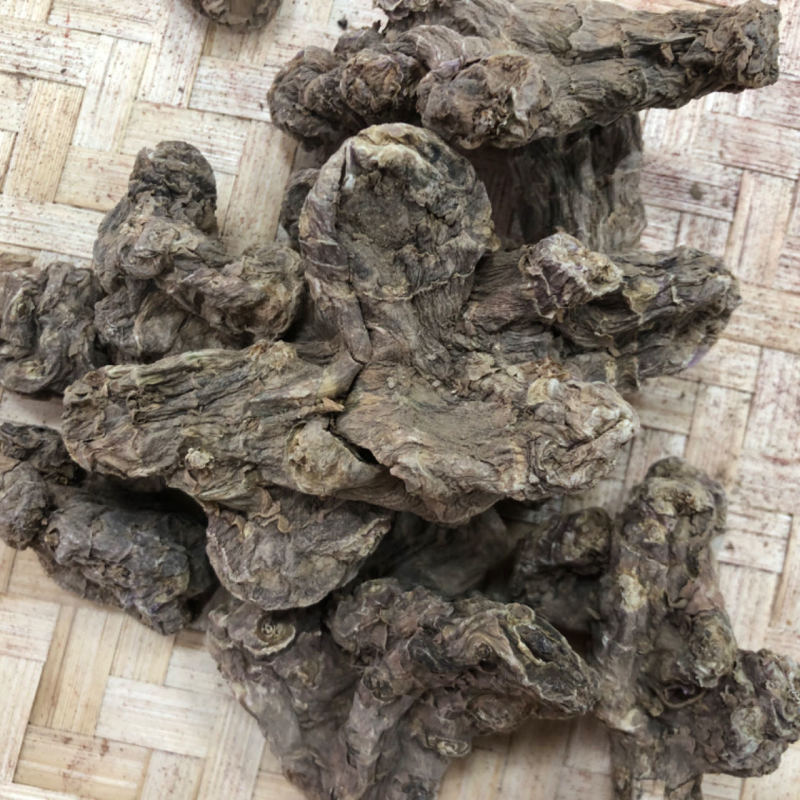 胰岛果胰岛果菊芋整个批发量大从优