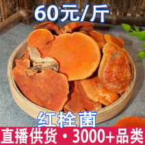 红栓菌牛樟芝批发量大从优