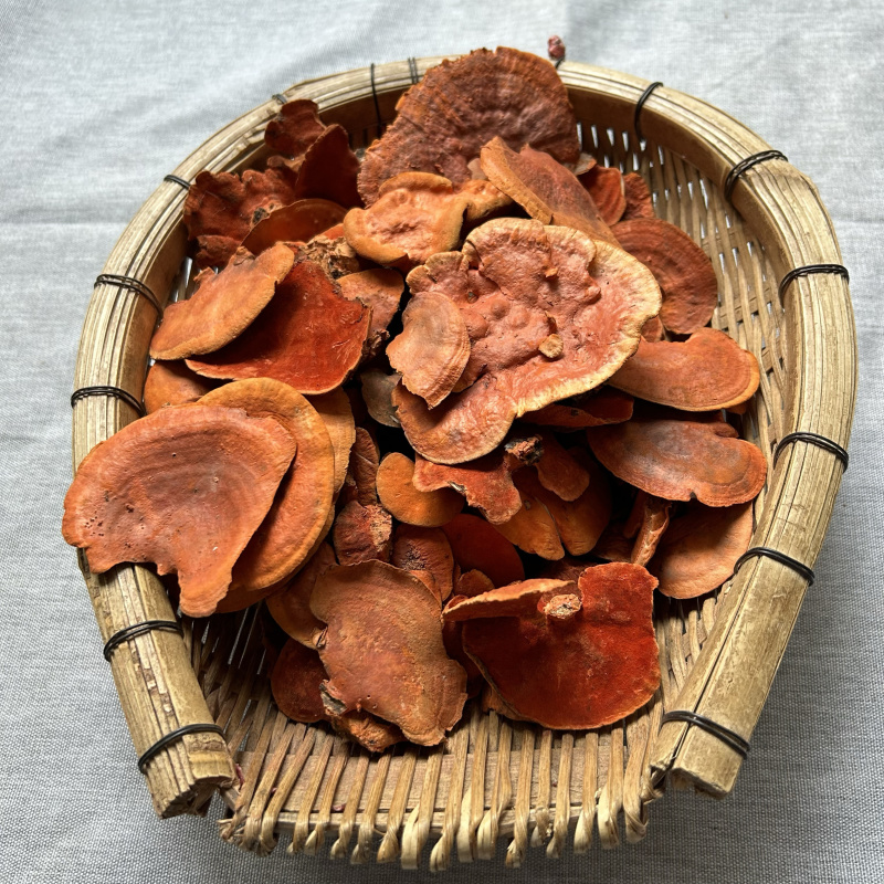 红栓菌牛樟芝批发量大从优