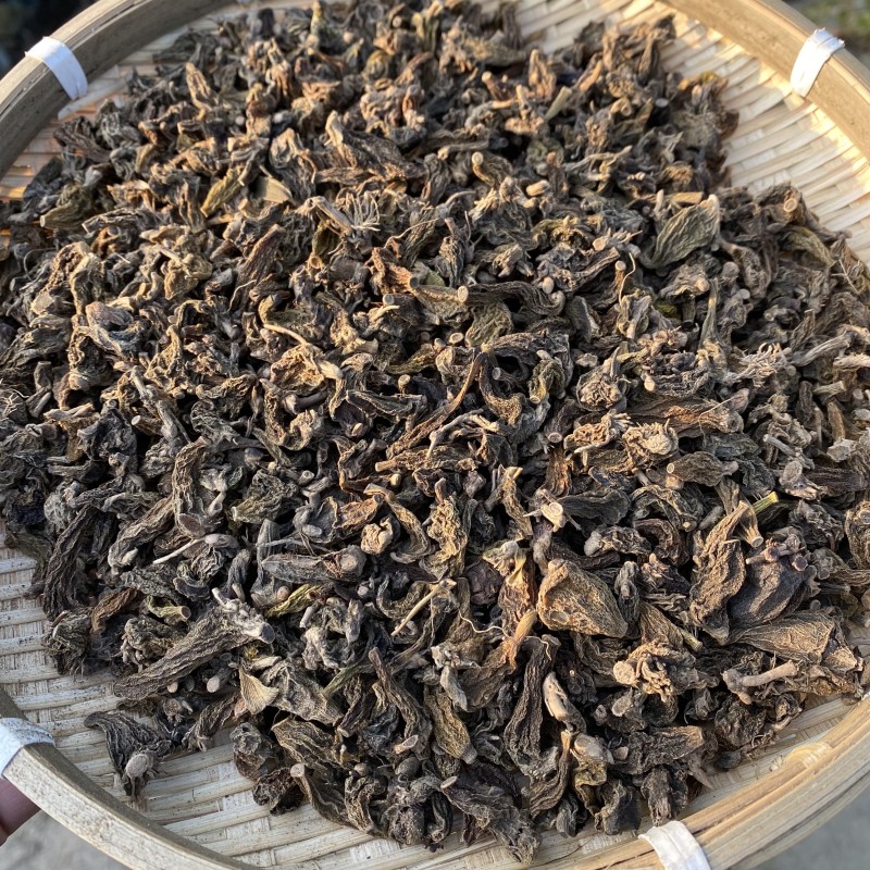 珍虫石斛红岩珠虫石斛铁皮石斛一件代发珍虫石斛