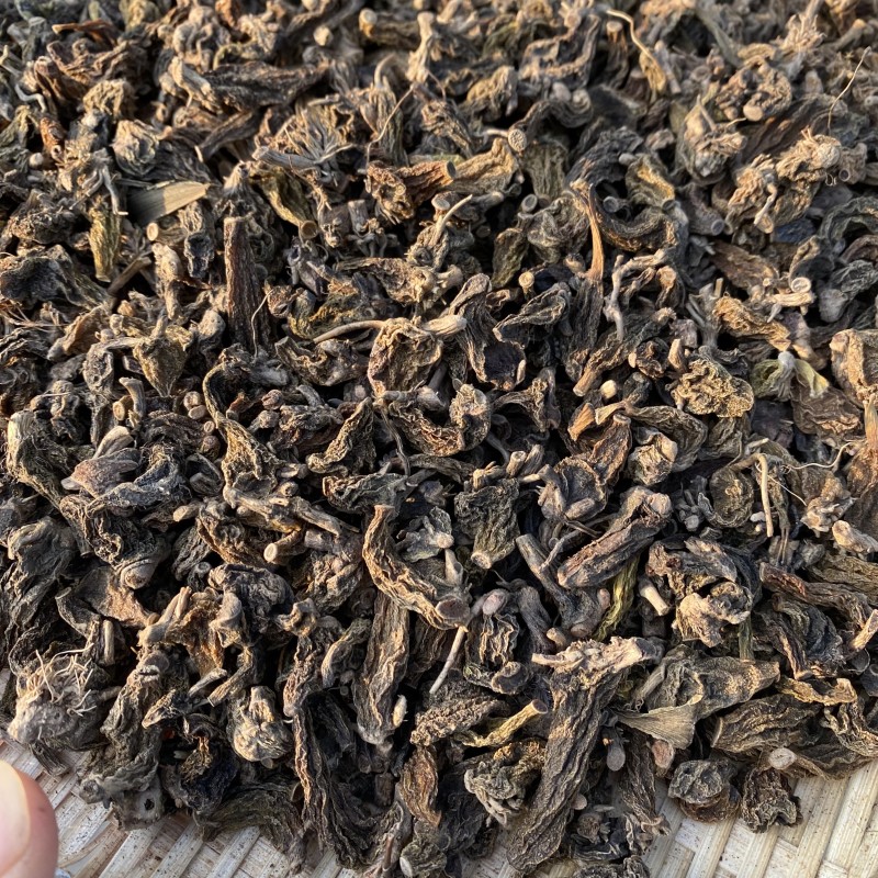 珍虫石斛红岩珠虫石斛铁皮石斛一件代发珍虫石斛