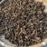 珍虫石斛红岩珠虫石斛铁皮石斛一件代发珍虫石斛