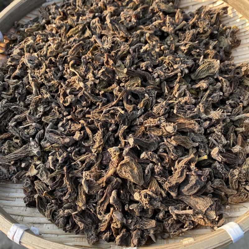 珍虫石斛红岩珠虫石斛铁皮石斛一件代发珍虫石斛