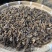 珍虫石斛红岩珠虫石斛铁皮石斛一件代发珍虫石斛