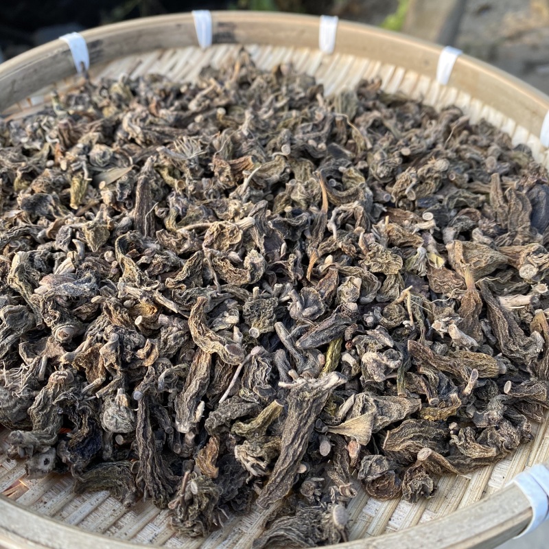 珍虫石斛红岩珠虫石斛铁皮石斛一件代发珍虫石斛