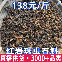 珍虫石斛红岩珠虫石斛铁皮石斛一件代发珍虫石斛