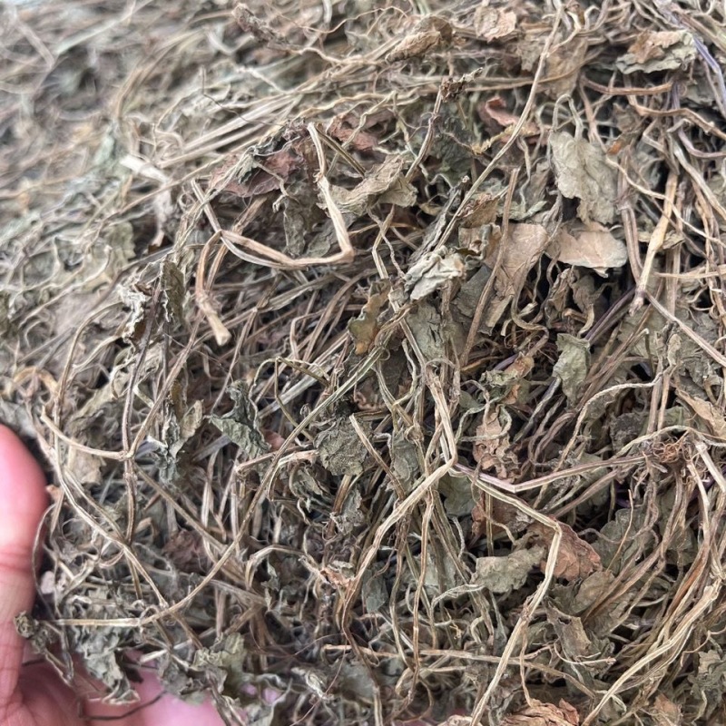 批发连线草精选新货晒干广金钱草茶铜钱草金钱草落地金