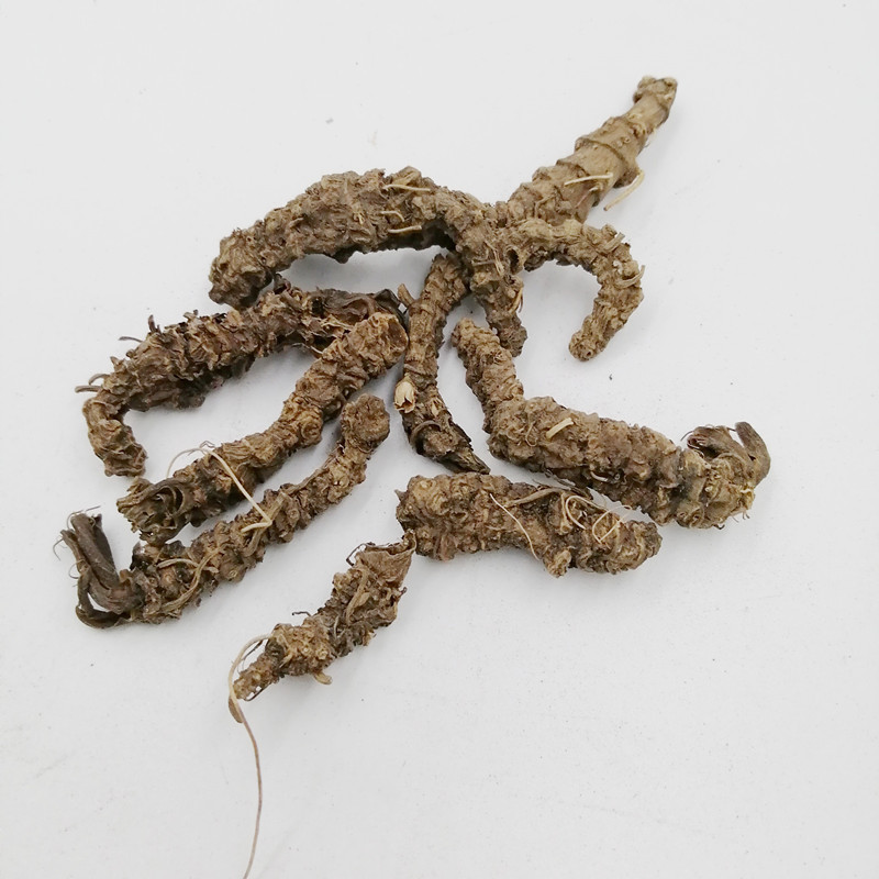 贵州蜘蛛香整棵新干货无硫缬草根自采土细辛马蹄香心叶