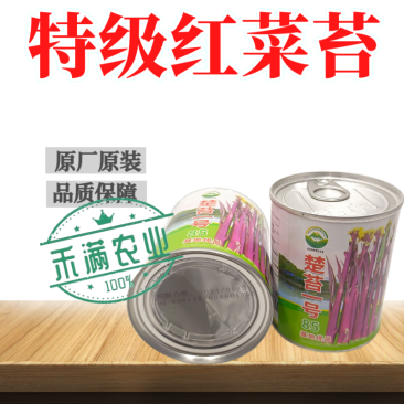 罐装正宗红菜苔种子洪山菜苔种籽晚熟秋季抗病秋播耐寒紫菜苔