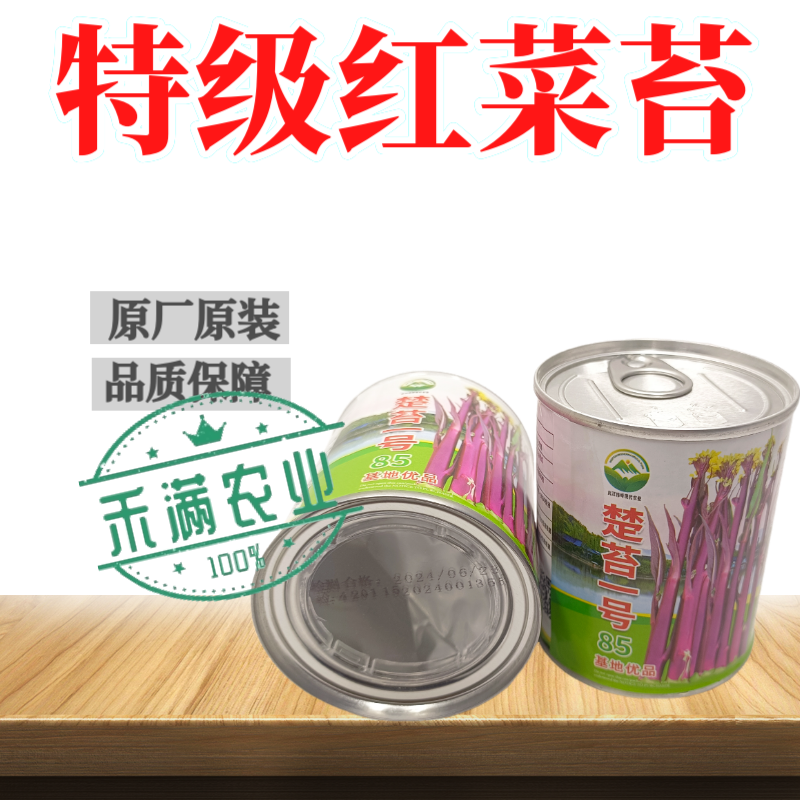 罐装正宗红菜苔种子洪山菜苔种籽晚熟秋季抗病秋播耐寒紫菜苔