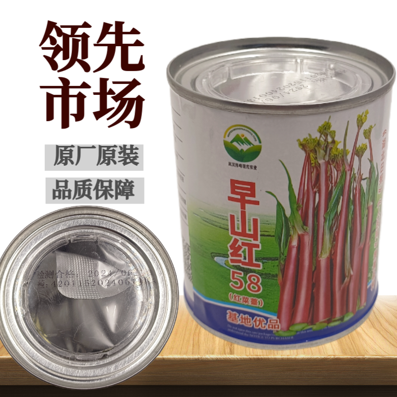 优品罐装正宗武汉红菜苔种子洪山菜苔种籽早熟秋季抗病秋播耐