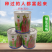优品罐装正宗武汉红菜苔种子洪山菜苔种籽早熟秋季抗病秋播耐