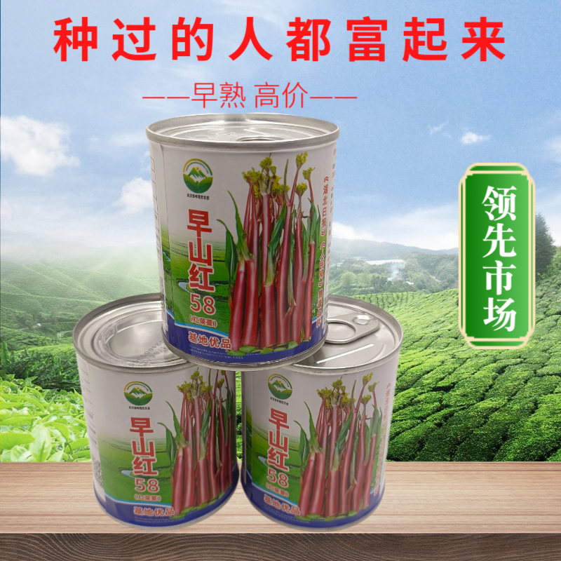 优品罐装正宗武汉红菜苔种子洪山菜苔种籽早熟秋季抗病秋播耐