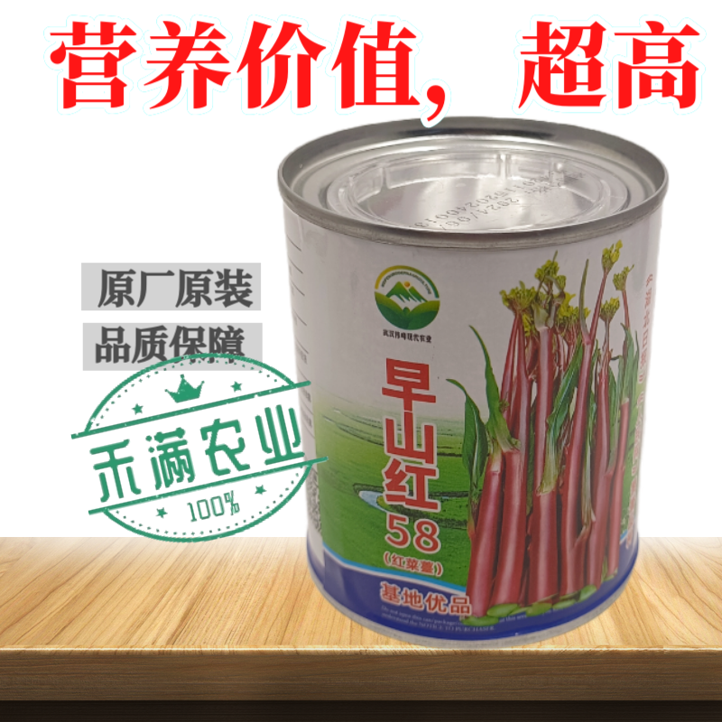 优品罐装正宗武汉红菜苔种子洪山菜苔种籽早熟秋季抗病秋播耐