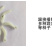 汽油勺式播种机勺式精播机多功能播种机菠菜香菜大葱育苗播种