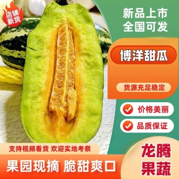 精品青县博洋甜瓜绿宝羊角蜜,产地直发大量供应