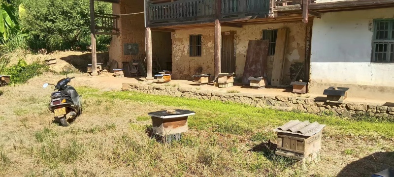 蜂蜜土蜂蜜基地供应全国直发量大质优价优欢迎电联