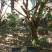蜂蜜土蜂蜜基地供应全国直发量大质优价优欢迎电联