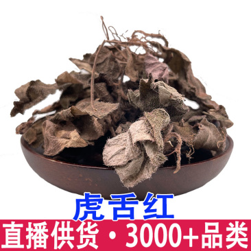 虎舌红虎脷红地毯红毛毡红毛毡老虎利天仙红农