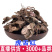 虎舌红虎脷红地毯红毛毡红毛毡老虎利天仙红农