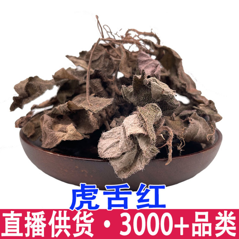 虎舌红虎脷红地毯红毛毡红毛毡老虎利天仙红农