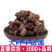 正宗大叶半边莲异叶茴芹乙阴莲葡萄叶秋海新货正品