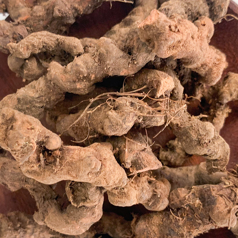 正宗大叶半边莲异叶茴芹乙阴莲葡萄叶秋海新货正品