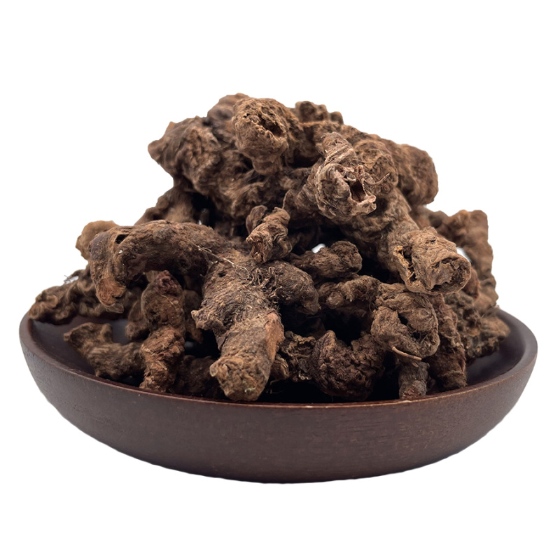 正宗大叶半边莲异叶茴芹乙阴莲葡萄叶秋海新货正品