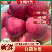 云南昭通早熟红露苹果、嘎拉、米奇拉代收代办全国品质保证