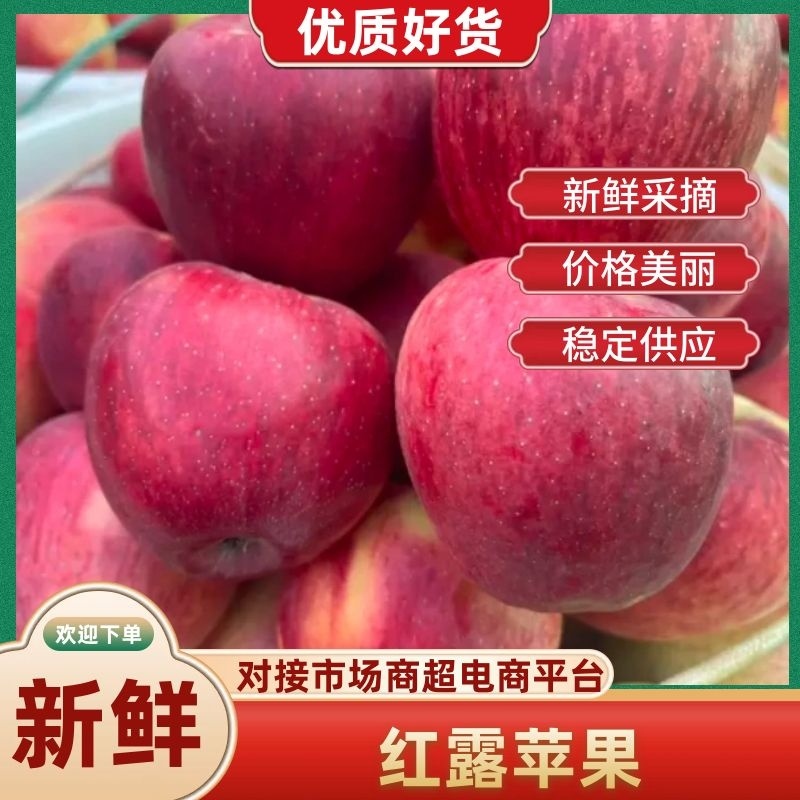 云南昭通早熟红露苹果、嘎拉、米奇拉代收代办全国品质保证