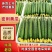 密刺黄瓜干花带刺鲜花带刺油亮黄瓜货源充足欢迎咨询