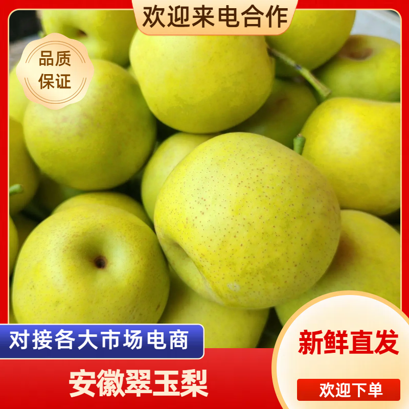 安徽翠冠梨青皮蜜梨核小无渣对接电商市场商超