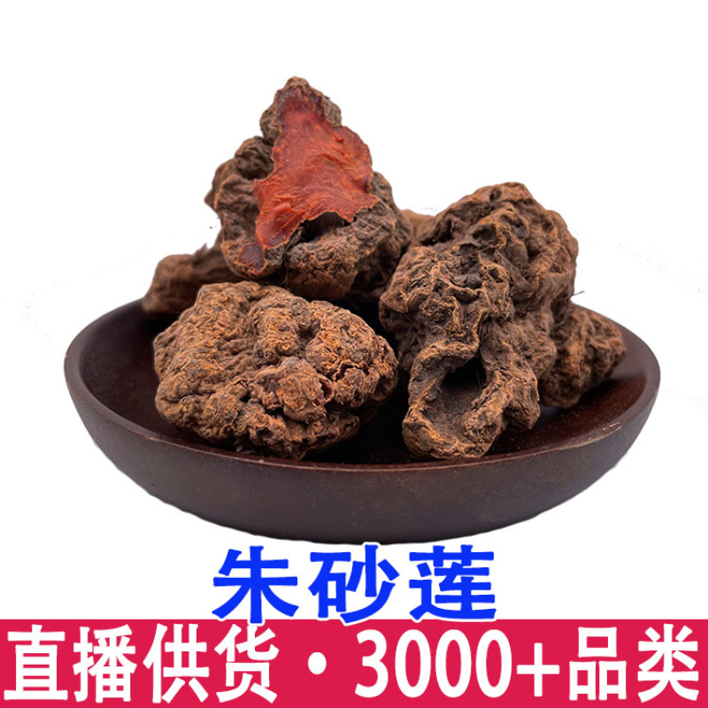 批发朱砂莲躲蛇生雷见怕一点血九月生避蛇生