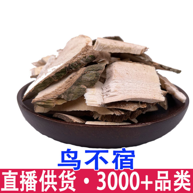 鸟不企鸟不宿批发量大从优
