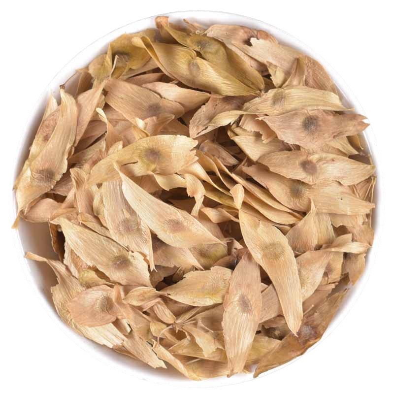 批发凤眼草臭树铃铛臭椿子春铃子樗树子量大