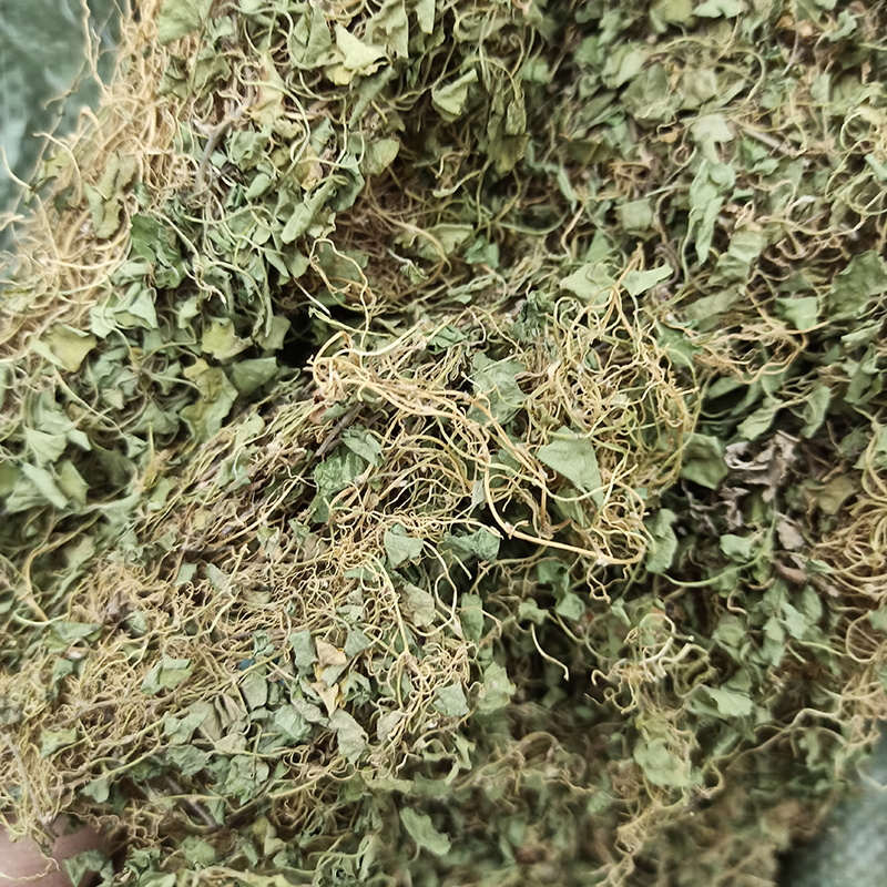 源头批发马蹄金小叶金钱草中草药草药金前草小金钱草中药材过