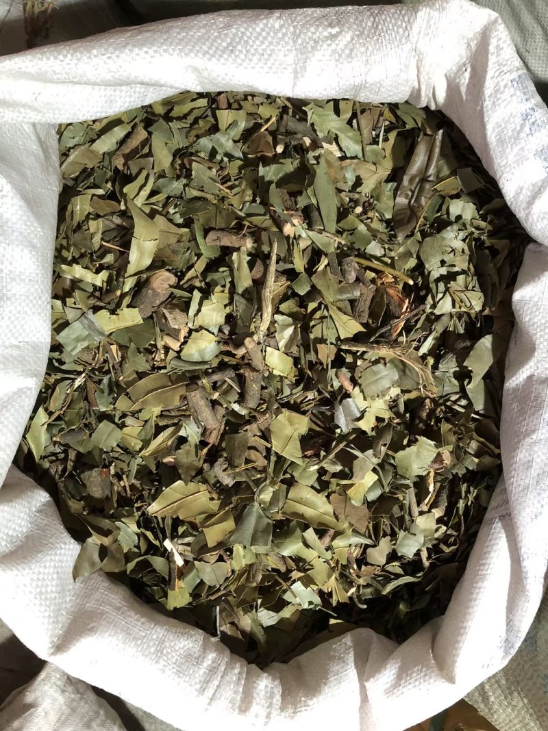 横经席跌打将军碎骨莲皮子黄梳篦王蟥