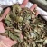 横经席跌打将军碎骨莲皮子黄梳篦王蟥