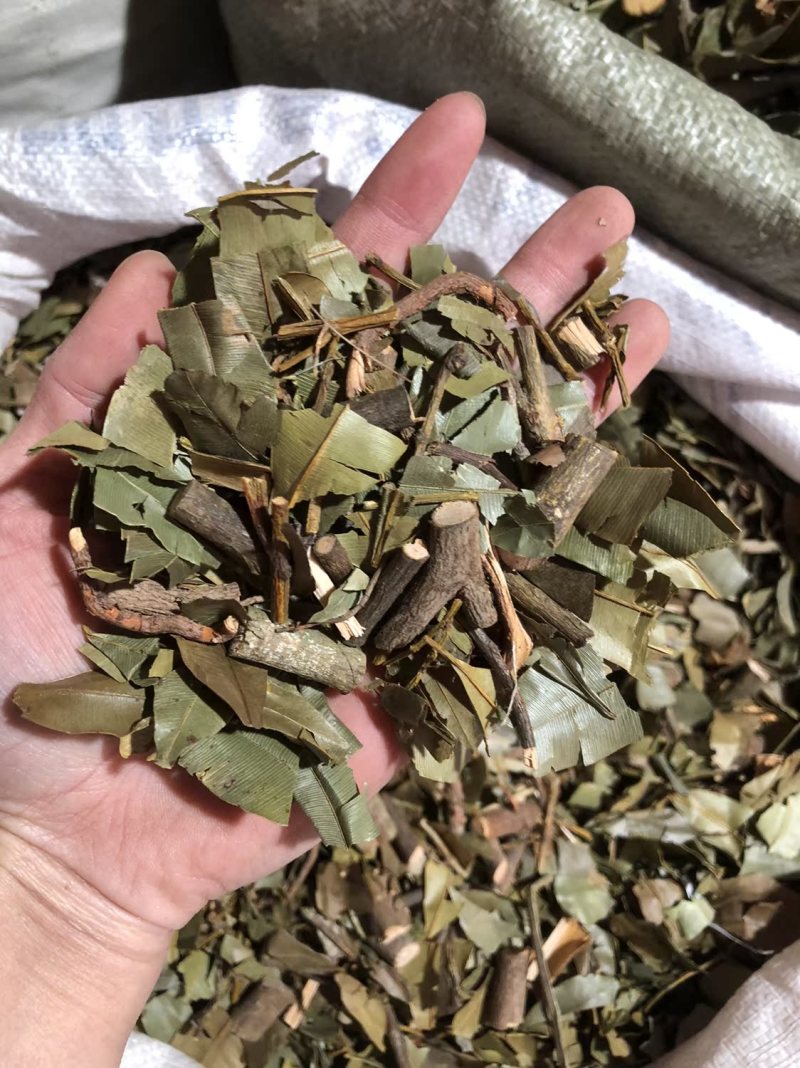 横经席跌打将军碎骨莲皮子黄梳篦王蟥