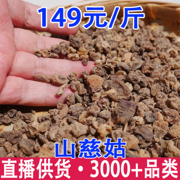 山慈菇山茨菇慈姑毛慈菇批发量大从优