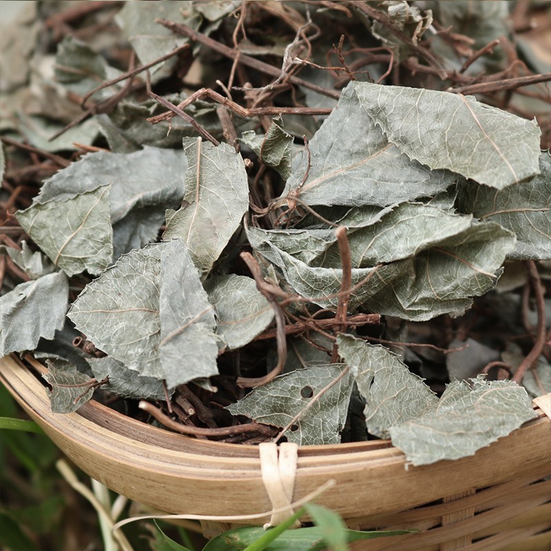 批发不出林矮地茶平地木叶下红小青矮茶