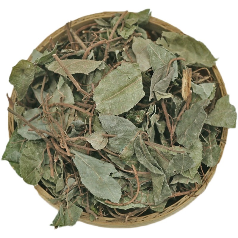 批发不出林矮地茶平地木叶下红小青矮茶