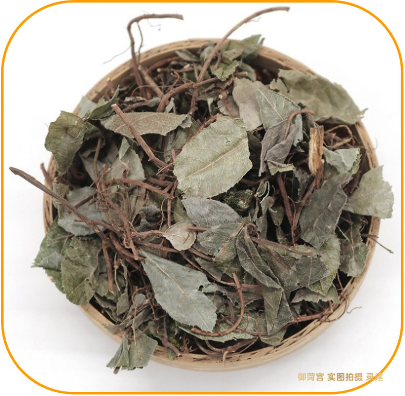批发不出林矮地茶平地木叶下红小青矮茶