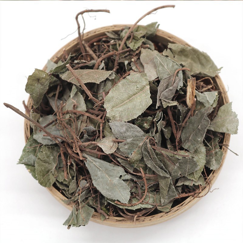 批发不出林矮地茶平地木叶下红小青矮茶